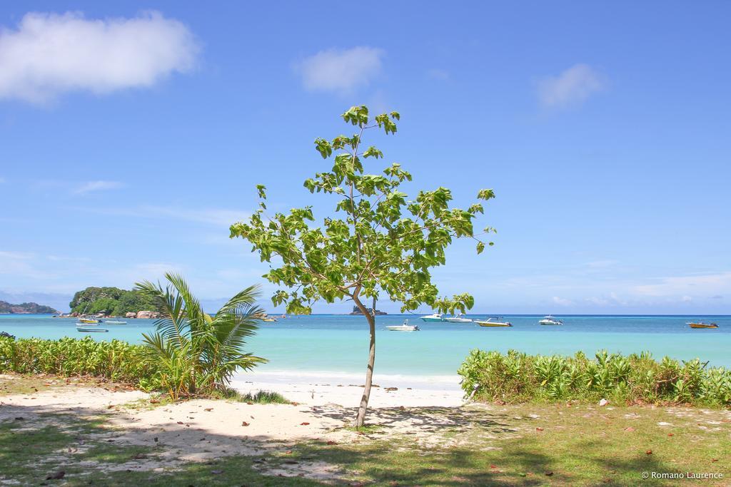 Pirogue Lodge Praslin (Ile)